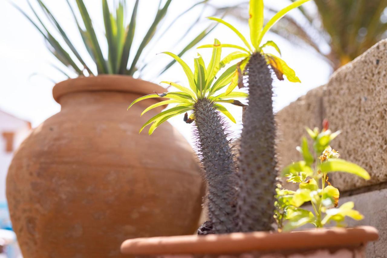 Villa Limón - Ocean View - BBQ - Garden - Terrace - Free Wifi - Child&Pet-Friendly - 2 bedrooms - 6 people Poris de Abona Exterior foto